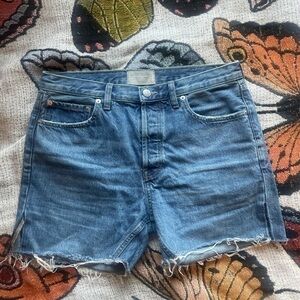 everlane shorts